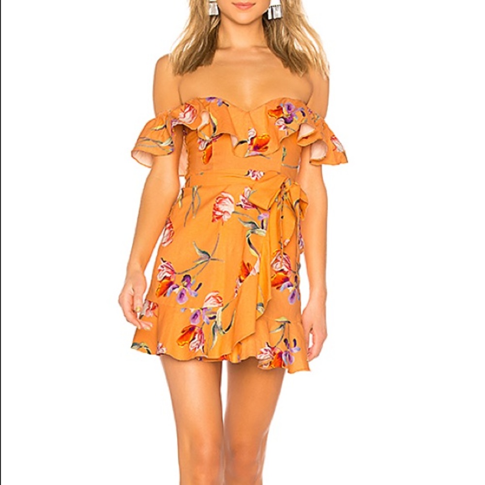 Revolve x Privacy Please Bellview Mini Dress